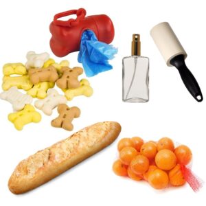¡Visto dentro de un bolso! curiosidades bolso